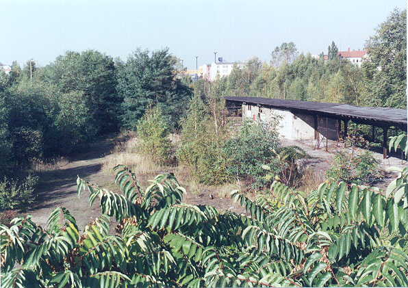 The Doomsite of Martin Bormann, 1995