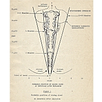 Figure 1 thumbnail from Photographs of the Atomic Bombings of Hiroshima and Nagasaki