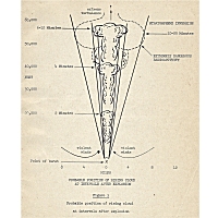 Figure 1 thumbnail from Photographs of the Atomic Bombings of Hiroshima and Nagasaki