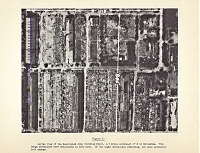 Figure 40 thumbnail from Photographs of the Atomic Bombings of Hiroshima and Nagasaki