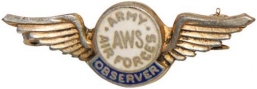 Aircraft Spotter badge